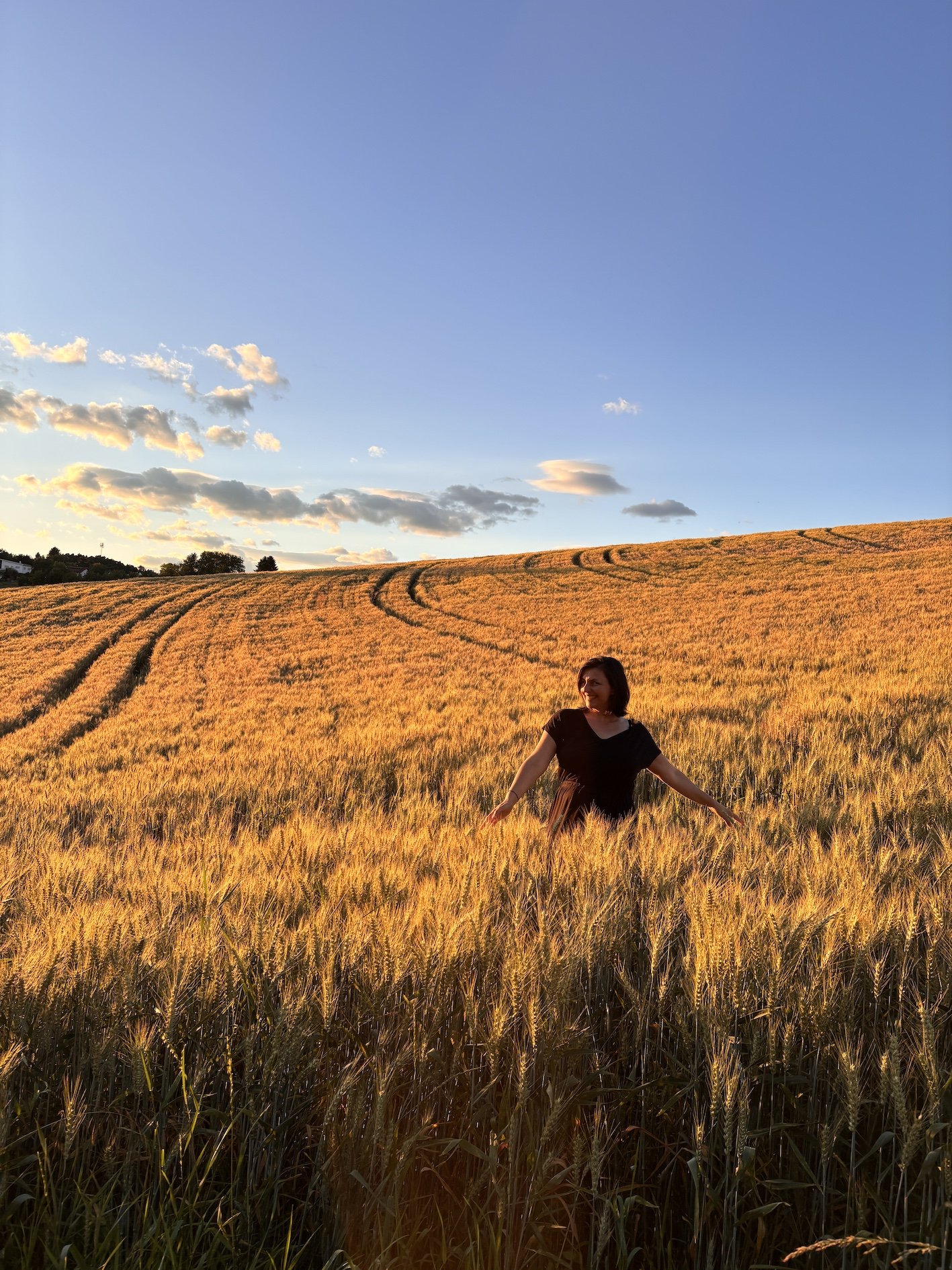 Manu bei Abendstimmung im Weizenfeld in Ollersdorf